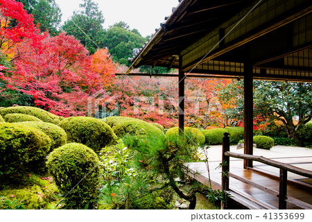 京都資生堂秋葉園 41353699