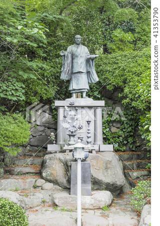 Nichiren Kamishige of Kugenda (Kamakura-shi planting) Nichiren Kamishige of Kugenda (Kamakura-shi planting) 41353790