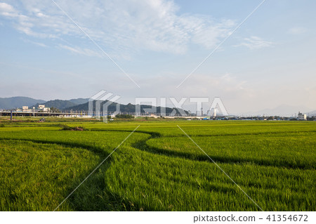 Jeong-go站 Jeong-go站 41354672