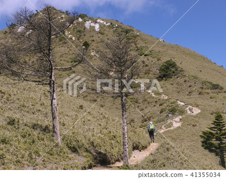 A male hiker walks on a path on a high mountain. The weather is very good, you can see the clear blue sky, it is very comfortable to walk, and you are happy. A male hiker walks on a path on a high mountain. The weather is very good, you can see the clear blue sky, it is very comfortable to walk, and you are happy. 41355034