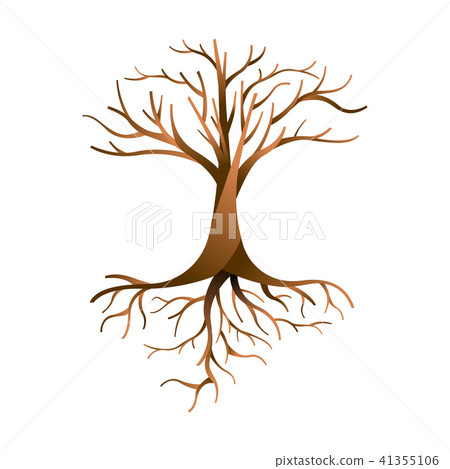 Empty tree isolated with branches and roots 41355106