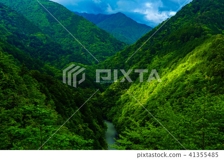 (Shizuoka Prefecture) Sawa bridge of the secret bureau (Sakino Sawa) (Shizuoka Prefecture) Sawa bridge of the secret bureau (Sakino Sawa) 41355485