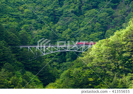 (Shizuoka Prefecture) Train crossing Ozawa Railway Seki Sawa Bridge 41355655