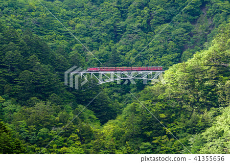 (Shizuoka Prefecture) Train crossing Ozawa Railway Seki Sawa Bridge 41355656