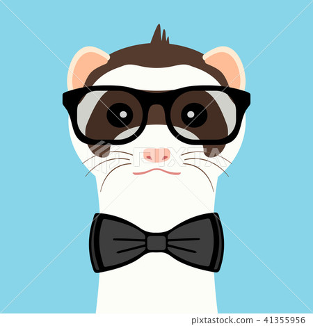 Ferret boy portrait with glasses and butterfly. Vector illustration. Ferret boy portrait with glasses and butterfly. Vector illustration. 41355956