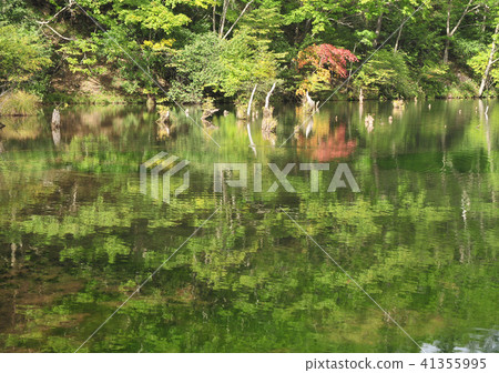 Yuuku lake in early fall -17962 Yuuku lake in early fall -17962 41355995