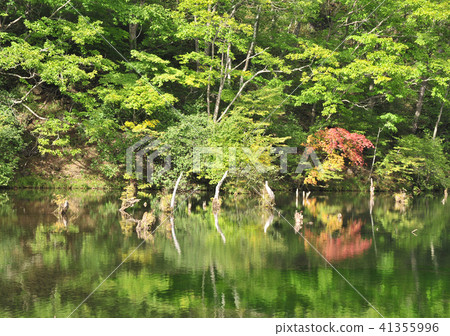 Yuuku lake in early fall -17963 Yuuku lake in early fall -17963 41355996