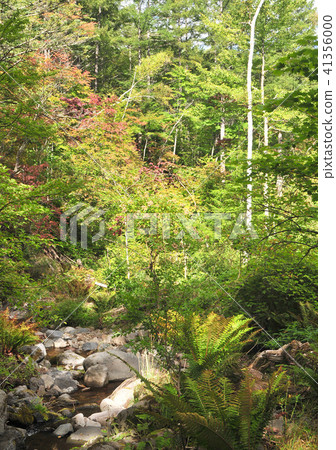 初秋Yachiho Takahara -17973 初秋Yachiho Takahara -17973 41356000