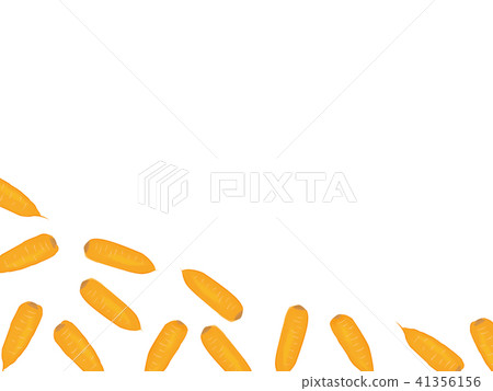 Ginseng illustration vegetable frame Ginseng illustration vegetable frame 41356156