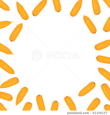 Ginseng illustration vegetable frame Ginseng illustration vegetable frame 41356157
