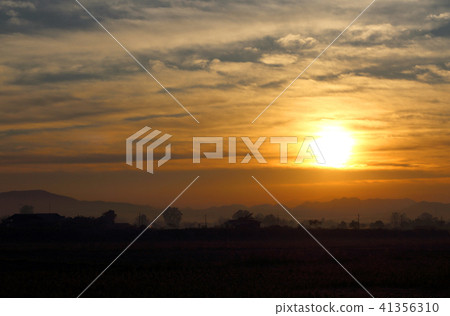 New Sun is Rising New Sun is Rising 41356310