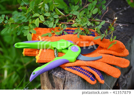 Garden gloves with a pruner for working in garden 41357879
