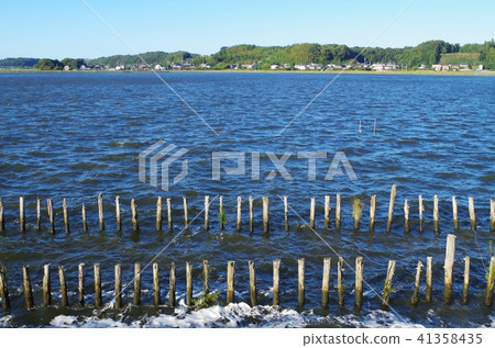 湖和樁 41358435