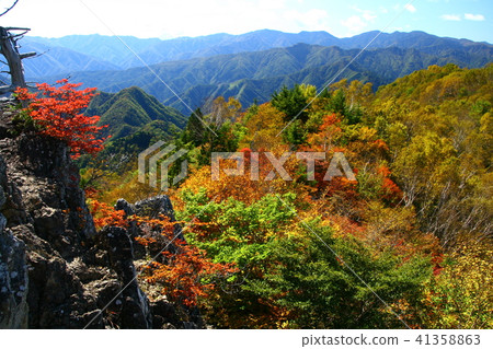 秋葉的頂峰 秋葉的頂峰 41358863