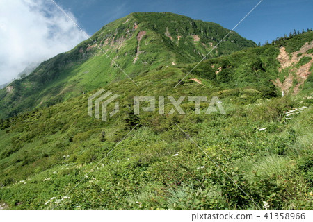 Road to Mt. Naeba mountain top Road to Mt. Naeba mountain top 41358966