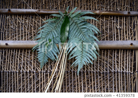 Takegaki -15 Takegaki -15 41359378