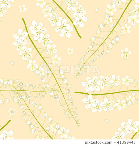 White Cassia Fistula - Golden Shower Flower 41359445