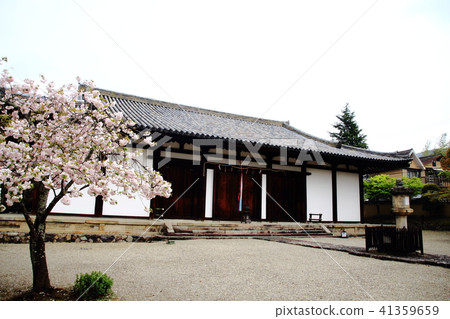 新的Yakushiji寺，大雄寶殿，Kakeguma，Komei皇帝，櫻花， 41359659