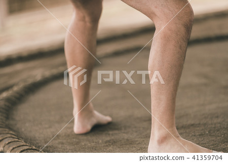 sumo, sumo wrestling, paw 41359704