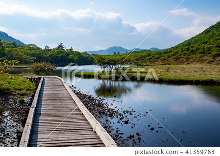 Wakamichi on the banks of Kakeumabuchi and azalea on the opposite shore and trees appearing on the surface of the water Tree stands in June of Akagi 41359763