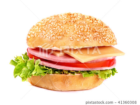 Small fresh hamburger 41360308