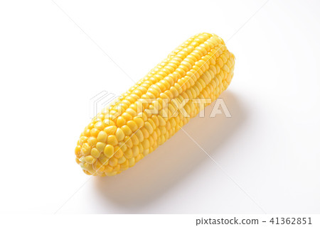Boiled corn with boiled corn 41362851