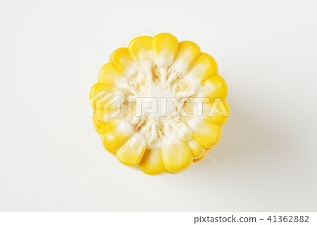 corn cross section 41362882