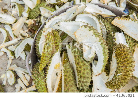 Durian peel Prepare to make fertilizer. Durian peel Prepare to make fertilizer. 41363021