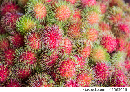 rambutan, Negrito, Semang, sweet Thai fruit rambutan, Negrito, Semang, sweet Thai fruit 41363026