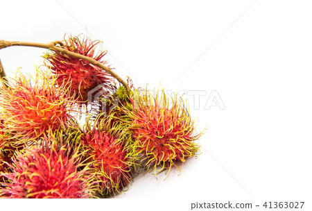 rambutan, Negrito, Semang, sweet Thai fruit rambutan, Negrito, Semang, sweet Thai fruit 41363027