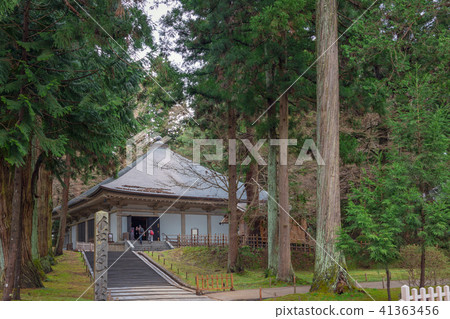 Chusonji Kannado Kurodo 41363456