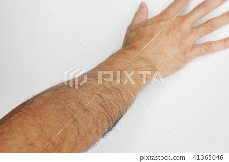 Arm hair 41365046