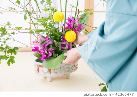 A woman in kimono making flower arrangement A woman in kimono making flower arrangement 41365477