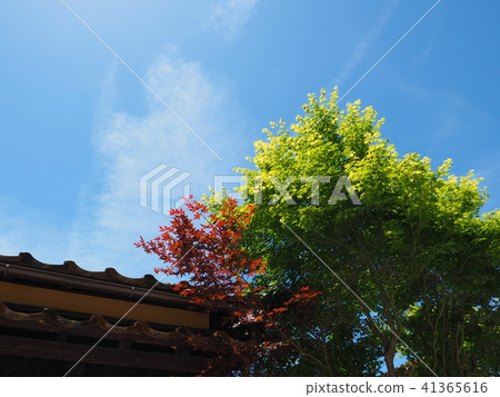 The sky I want from the funeral studio The sky I want from the funeral studio 41365616