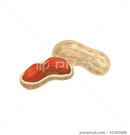 Flat vector icon of whole and peeled peanuts. Natural and tasty food. Organic product. Graphic Flat vector icon of whole and peeled peanuts. Natural and tasty food. Organic product. Graphic 41365686