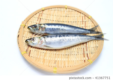 Sardine 41367751