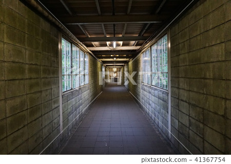 Ichiba station contact aisle 41367754