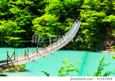 [Shizuoka Prefecture] Susumata Gorge of the fresh green Dream Suspension Bridge 41367899