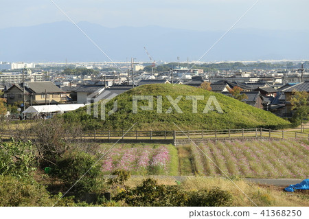 富士基墓和宇宙場 41368250