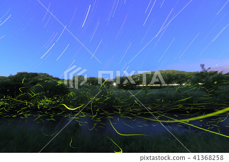 Light traces of Genji firefly and diurnal movement of stars Light traces of Genji firefly and diurnal movement of stars 41368258