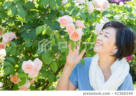 Rose garden flower garden girls 41368349