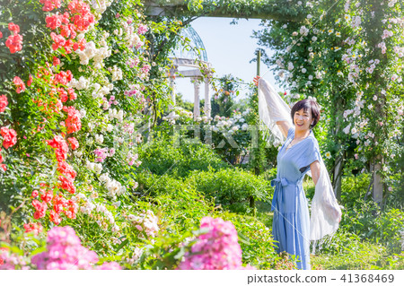 玫瑰園花園女孩 玫瑰園花園女孩 41368469