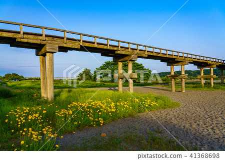 (Shizuoka Prefecture) Penglai Bridge in Shimada-shi 41368698