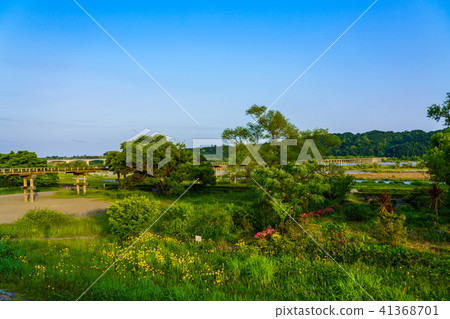 (Shizuoka Prefecture) Penglai Bridge in Shimada-shi 41368701