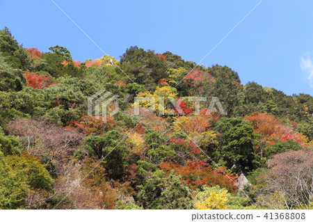 紅眼前進瀑布 41368808