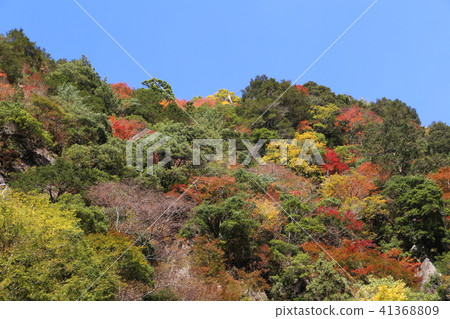 紅眼前進瀑布 41368809