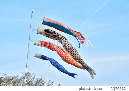 Koinobori圖像（新潟） 41370382