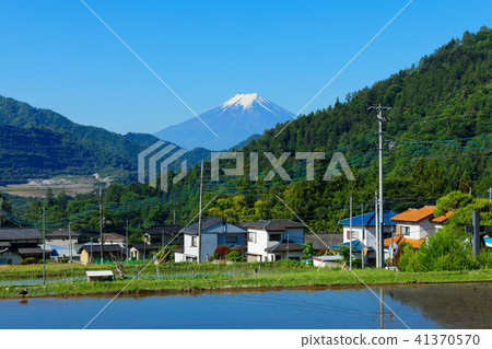 Rice paddies and Mt. Fuji of Oshki-cho Masaki Rice paddies and Mt. Fuji of Oshki-cho Masaki 41370570