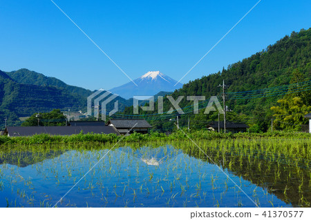 Mt. Fuji that shines in the rice terraces of Osuki town Masaki Mt. Fuji that shines in the rice terraces of Osuki town Masaki 41370577