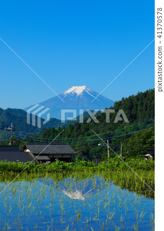 Mt. Fuji that shines in the rice terraces of Osuki town Masaki Mt. Fuji that shines in the rice terraces of Osuki town Masaki 41370578